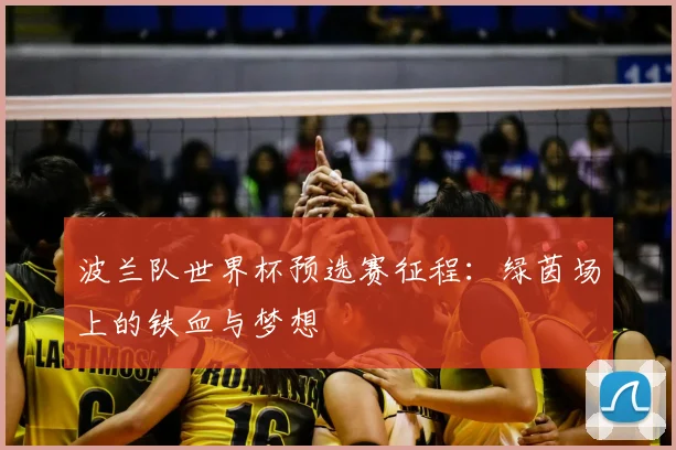 波兰队世界杯预选赛征程：绿茵场上的铁血与梦想