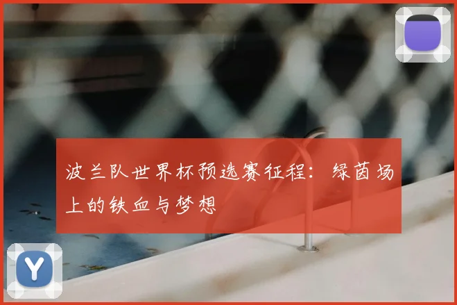 波兰队世界杯预选赛征程：绿茵场上的铁血与梦想