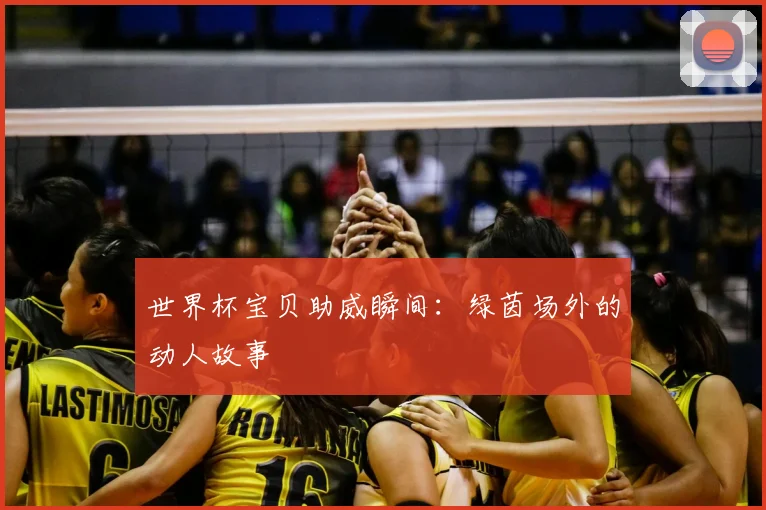 世界杯宝贝助威瞬间：绿茵场外的动人故事