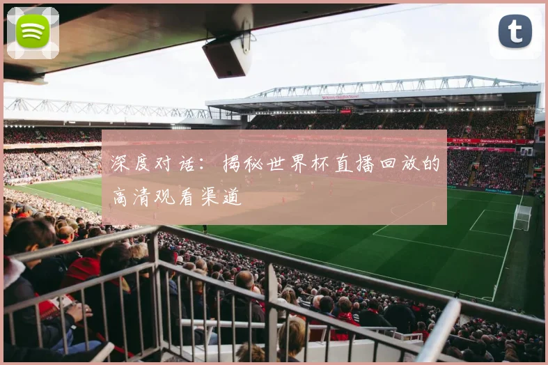 深度对话：揭秘世界杯直播回放的高清观看渠道
